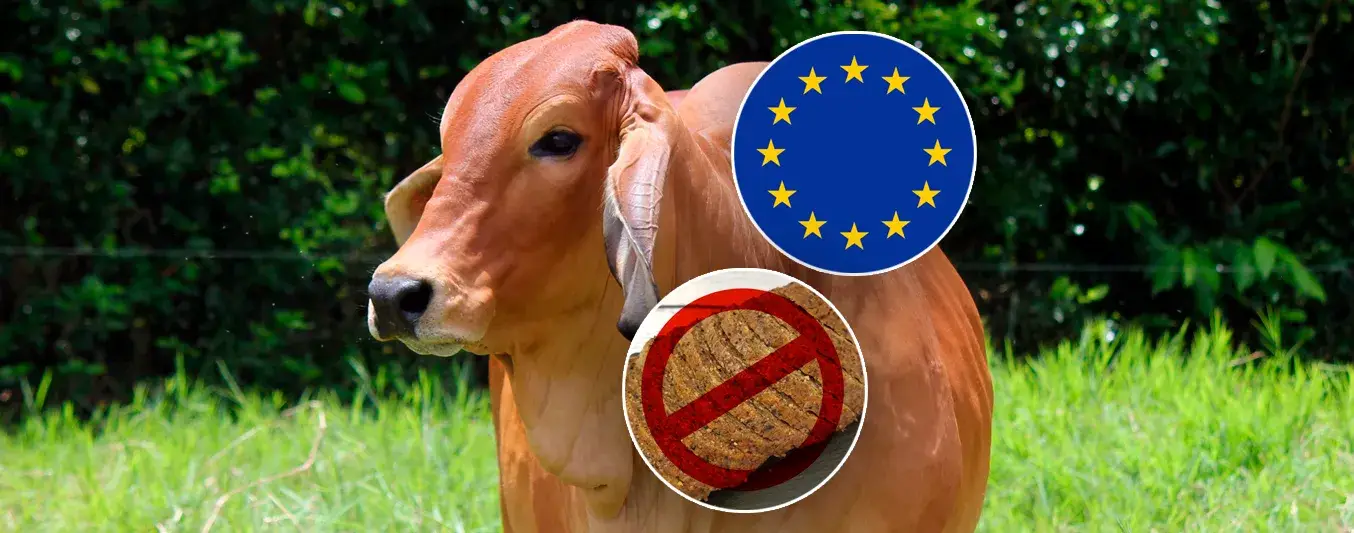 Por si acaso, es la de Europa y la prohibición de usar la palabra carne en preparaciones vegetales
