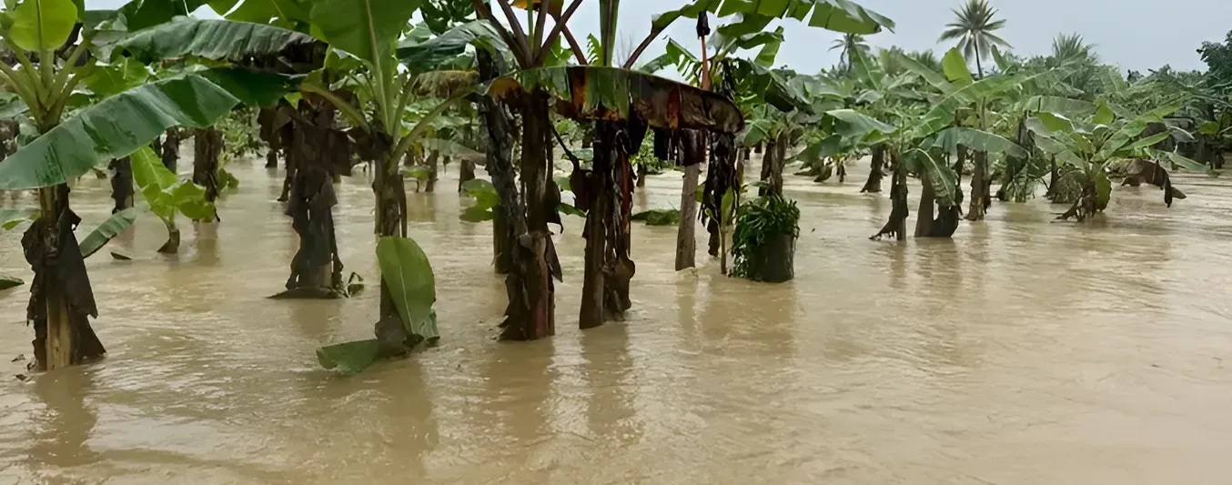 Cual es la situación al dia de hoy en Urabá