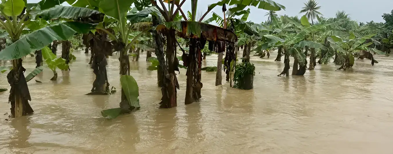 Cual es la situación al dia de hoy en Urabá