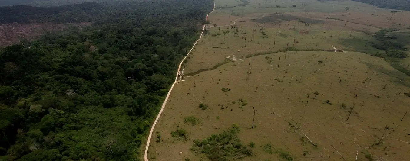 ganaderia-no-deforesta-amazonas