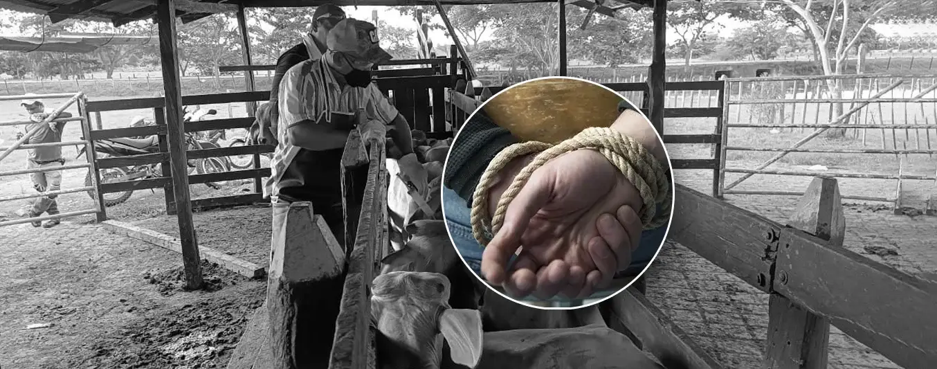 Secuestro de vacunador