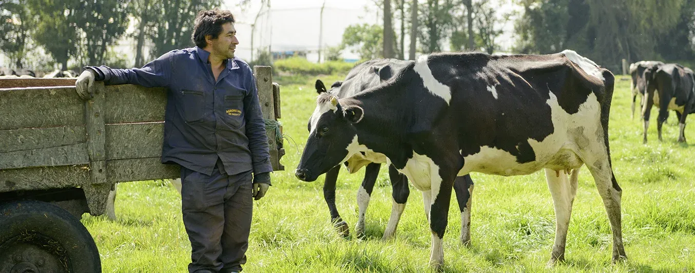 En ganadería, ¿funciona tener una meta?