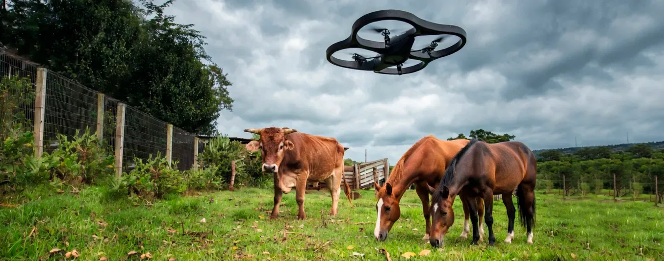 Con drones mataron a una vaca y seis caballos