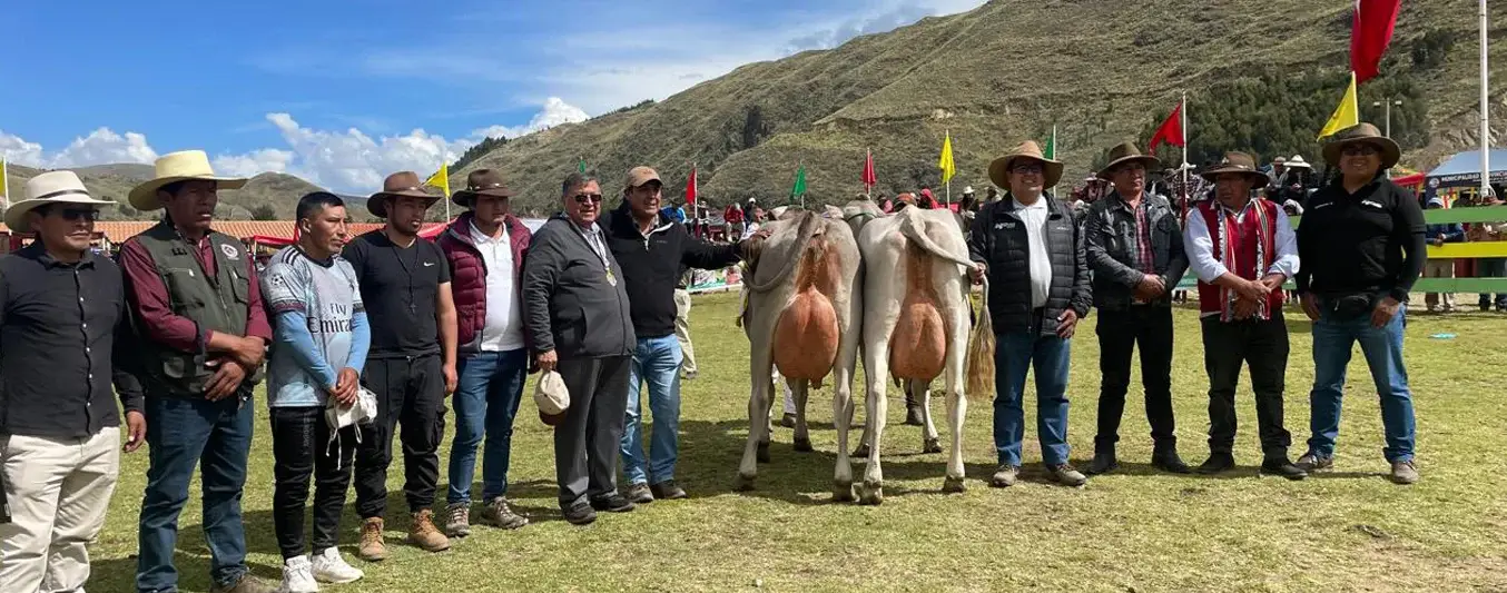 Juzgamiento de bovinos