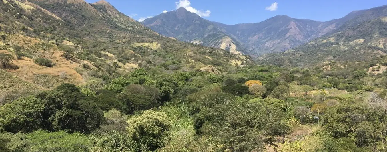 Fedegán y el proyecto que busca llevar la restauración de bosques al Cesar