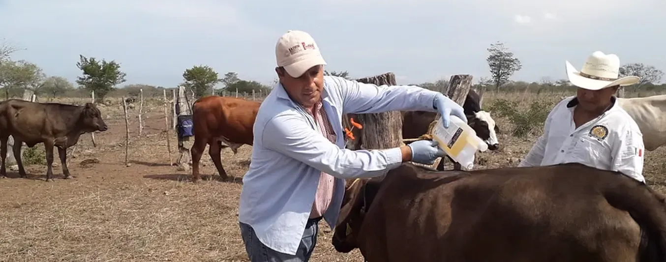 Incentivo al Seguro Agropecuario, ISA: ganaderos solicitan extender a su actividad dicha ayuda del Gobierno