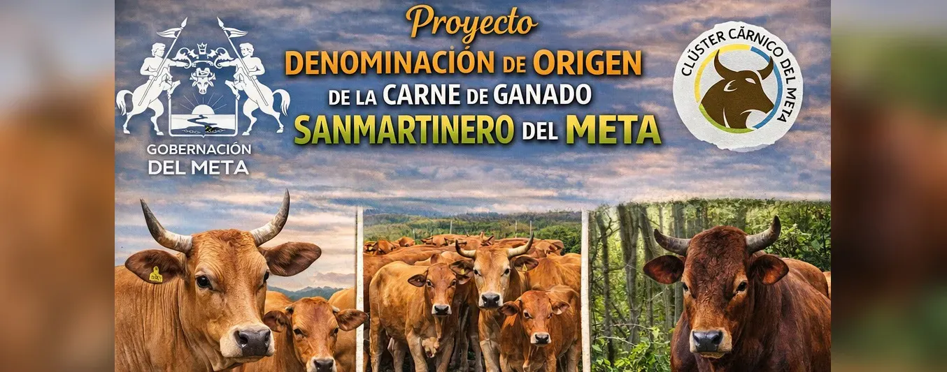 Proyecto denominación de orígen - ganado Sanmartinero del Meta