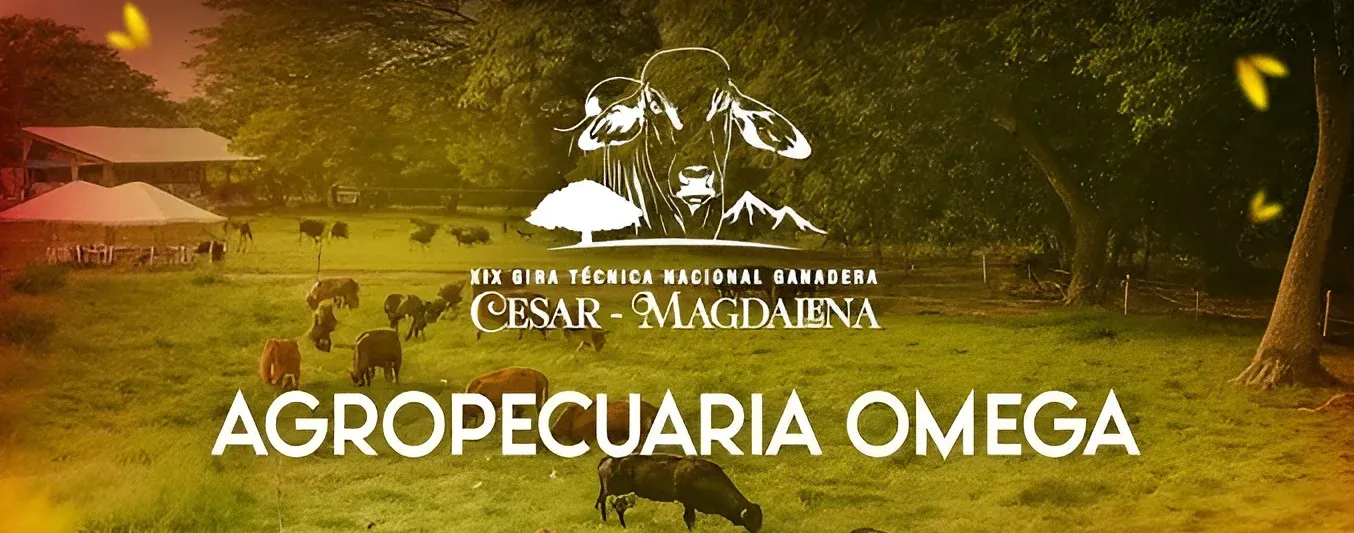 Agropecuaria Omega, empresa que ha transformado la ganadería en el Magdalena