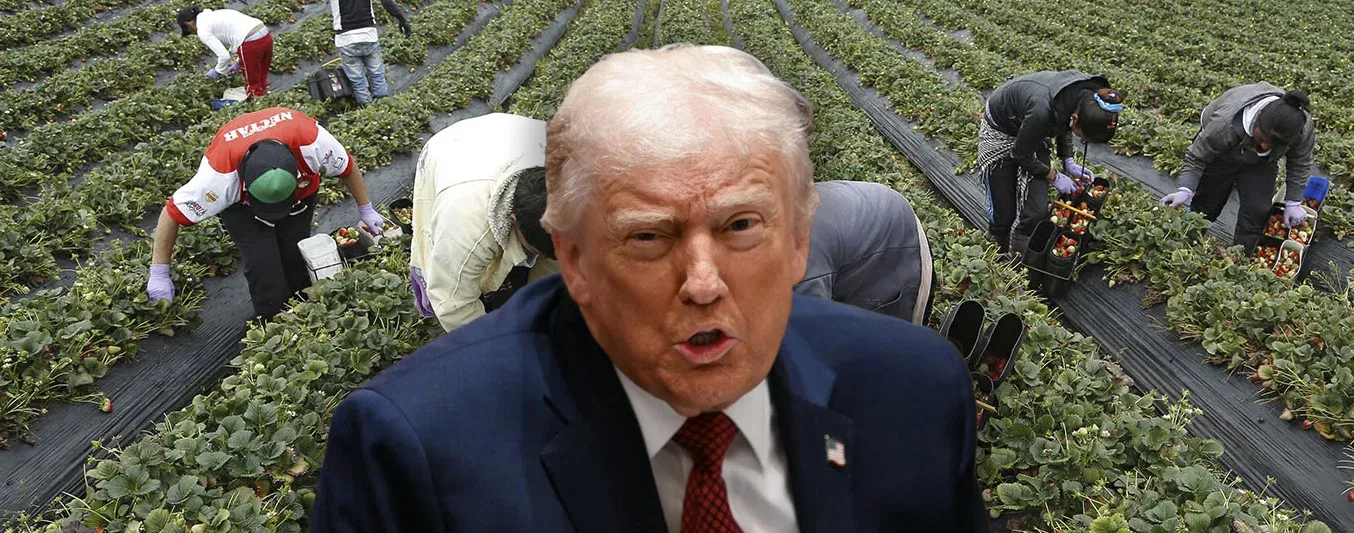 Trump y el agro Colombiano