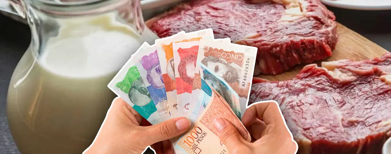 Cuota de fomento ganadero y lechero se mantiene