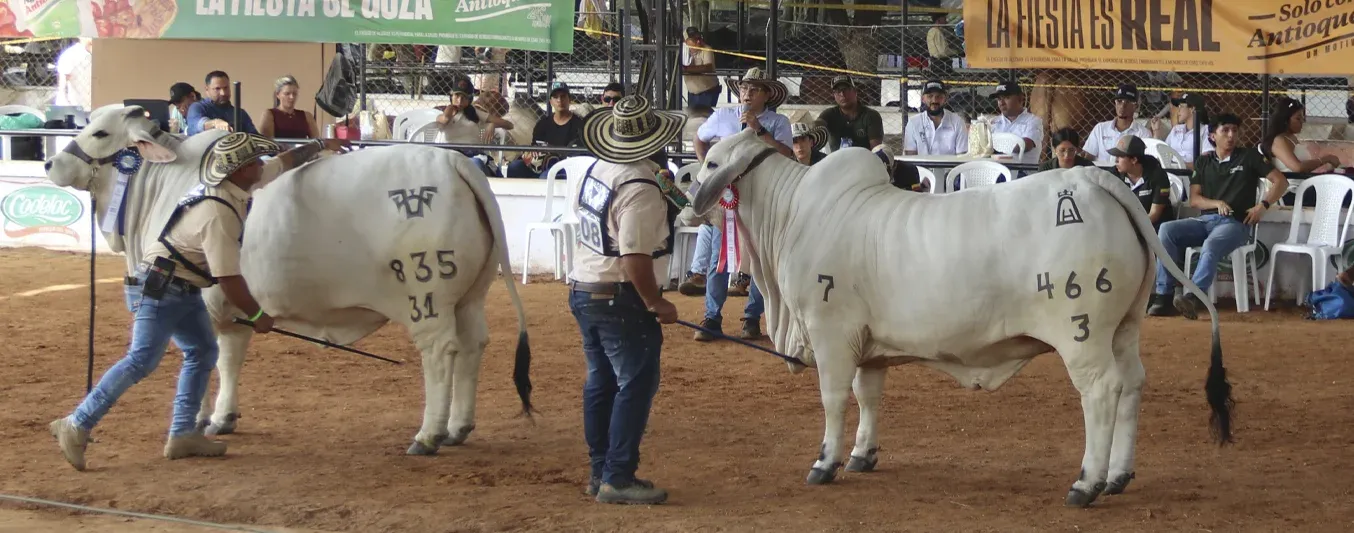 Los eventos ganaderos que no se puede perder en 2026