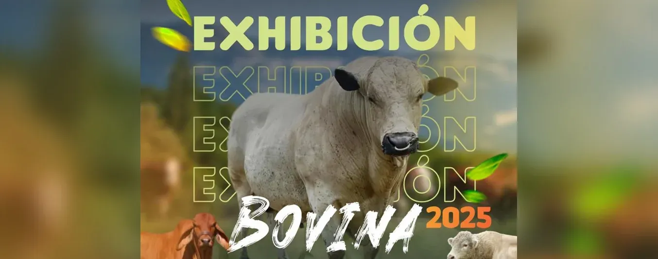 3ª Exhibición Bovina