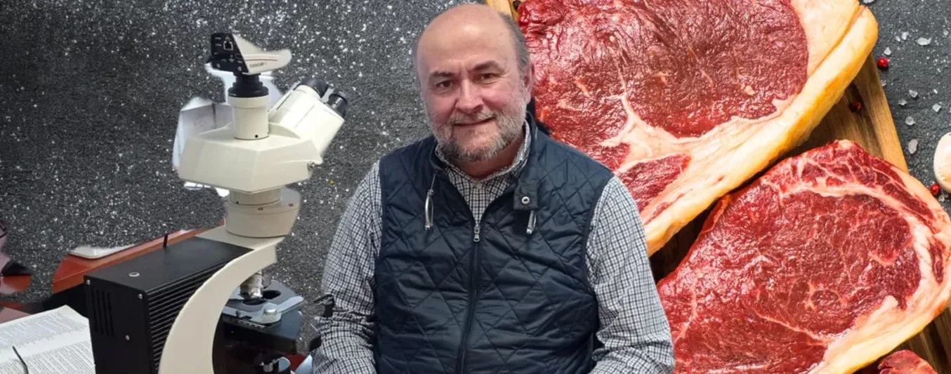 seguridad alimentaria