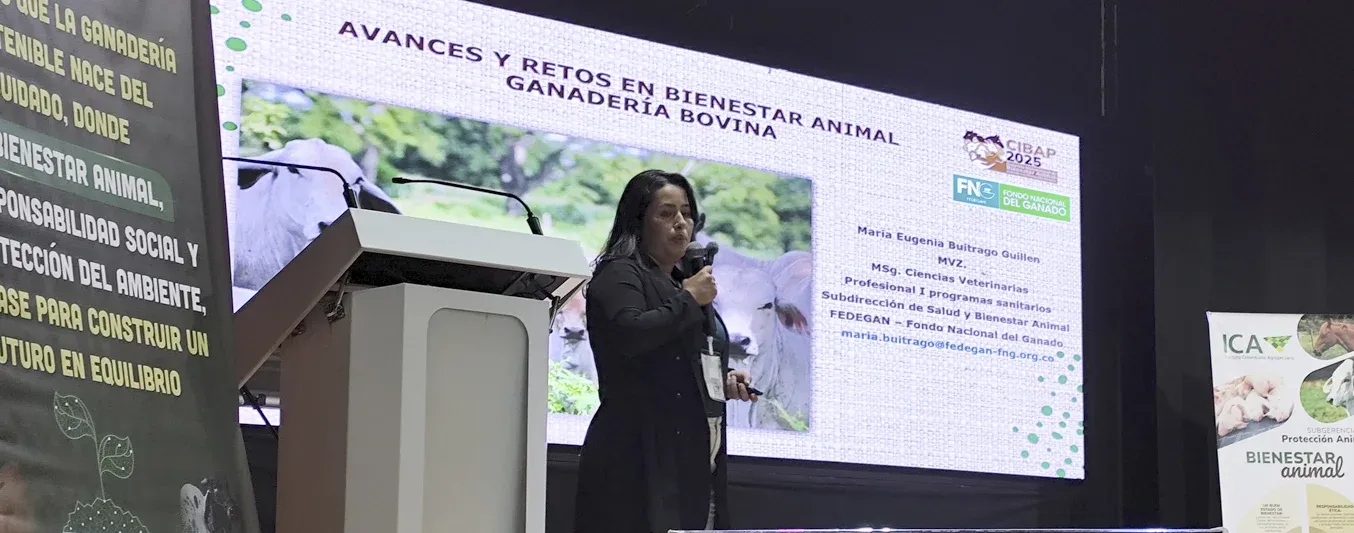 Así es como el gremio ganadero se ha encaminado por el bienestar animal