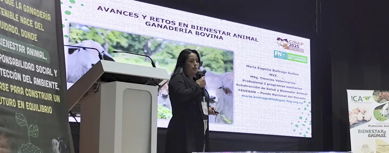 Así es como el gremio ganadero se ha encaminado por el bienestar animal