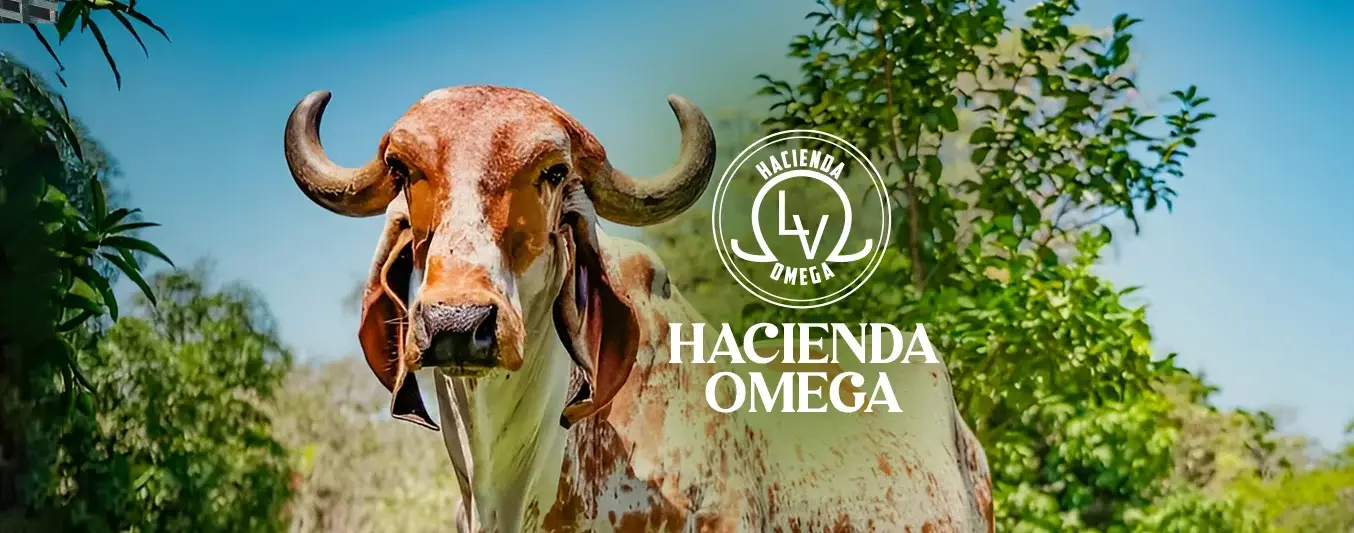 Hacienda Omega, clave en la región del Magdalena