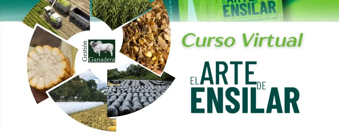 Curso virtual: El arte de ensilar