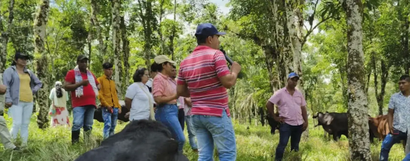 Ganaderos del Cauca replican modelo similar al del pacto Caquetá