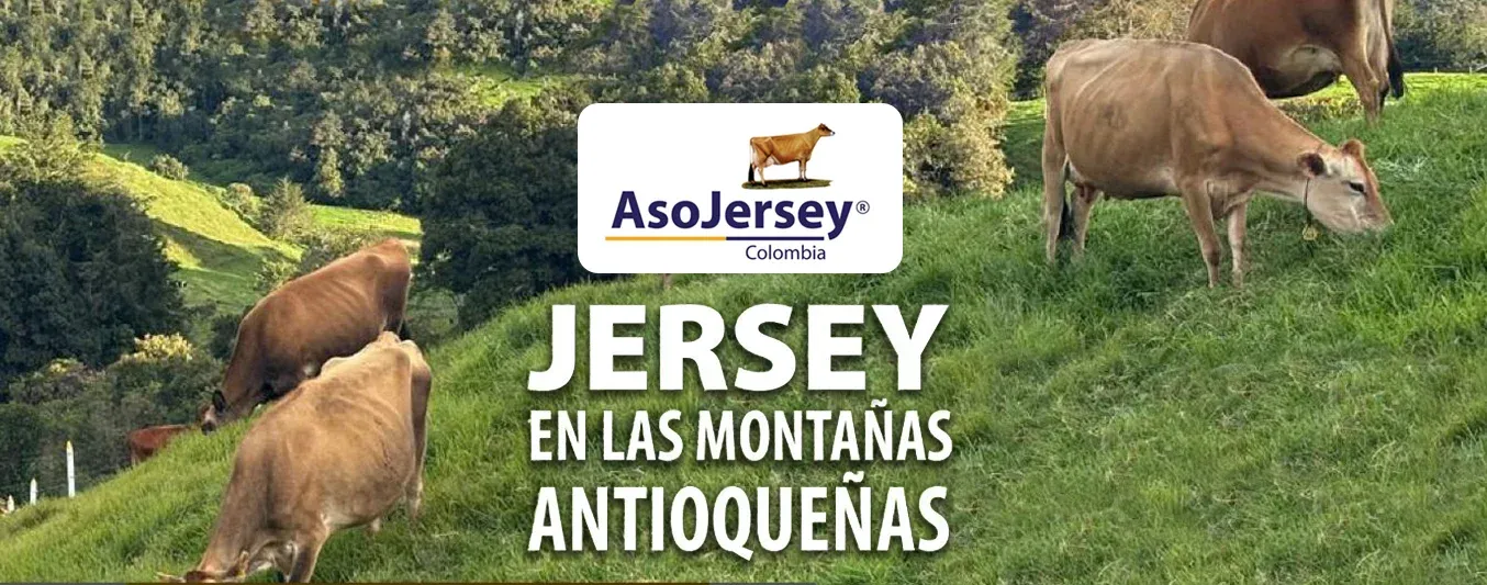 Dia de campo Asojersey