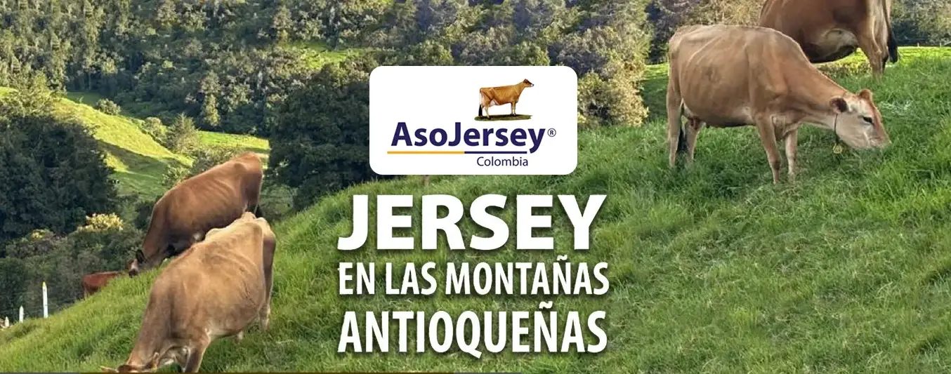 Dia de campo Asojersey