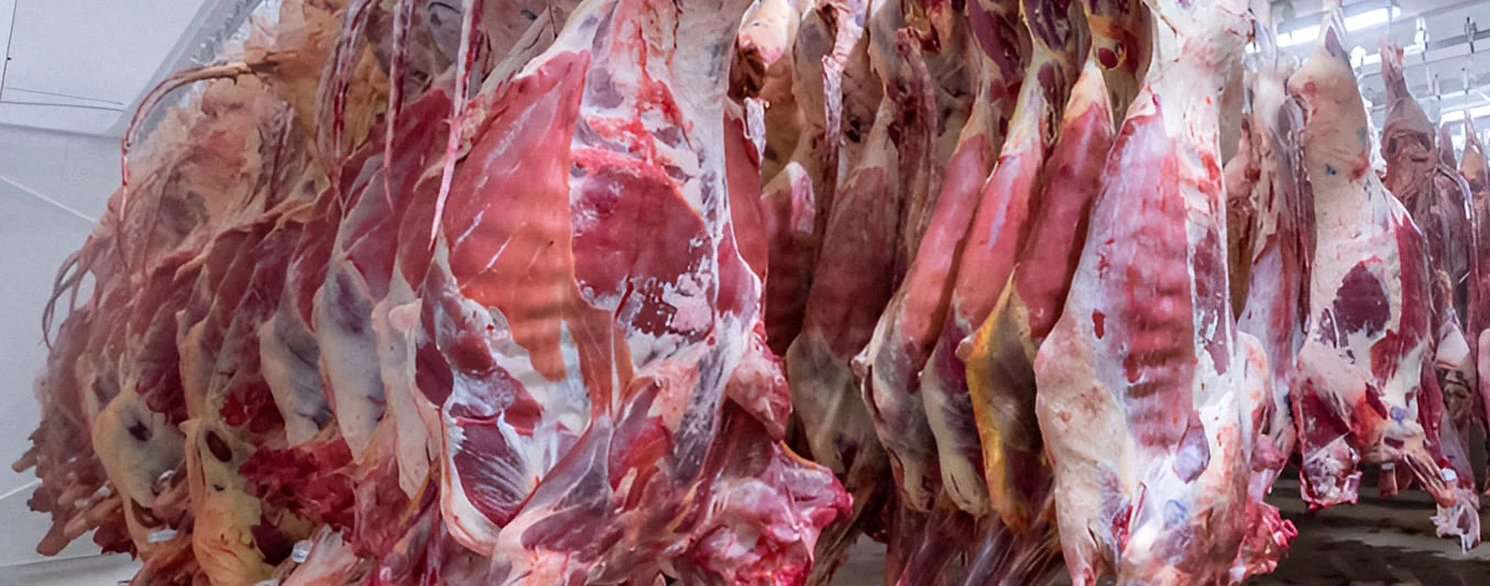 Esta tecnología podría revolucionar la certificación de la carne de res | CONtexto Ganadero