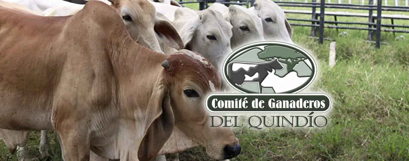Comité de ganaderos del Quindío