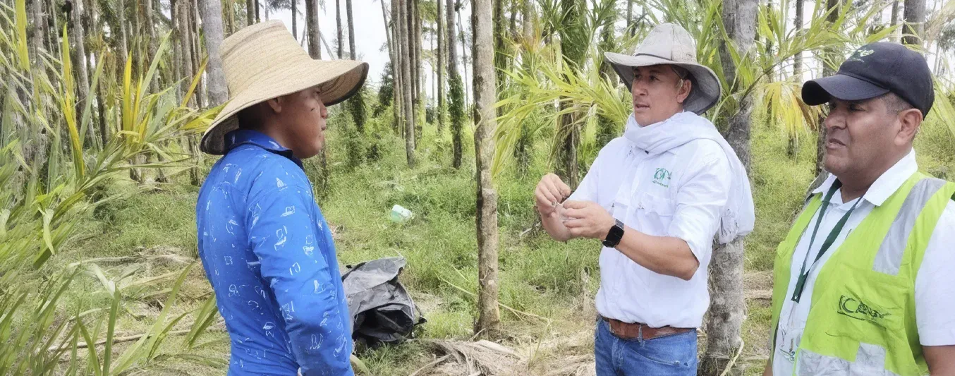 Guaviare avanza en certificaciones de BPA