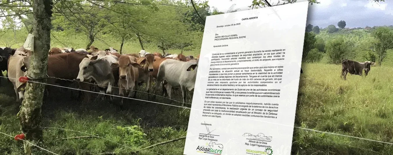 400 reses robadas en Sucre en menos de 2 meses