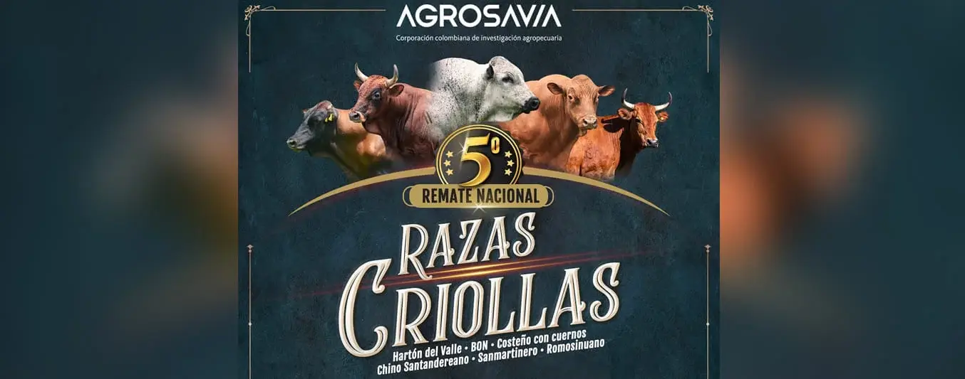 Remate razas criollas