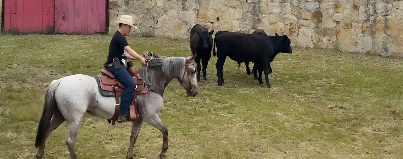 Como enlazar bovinos