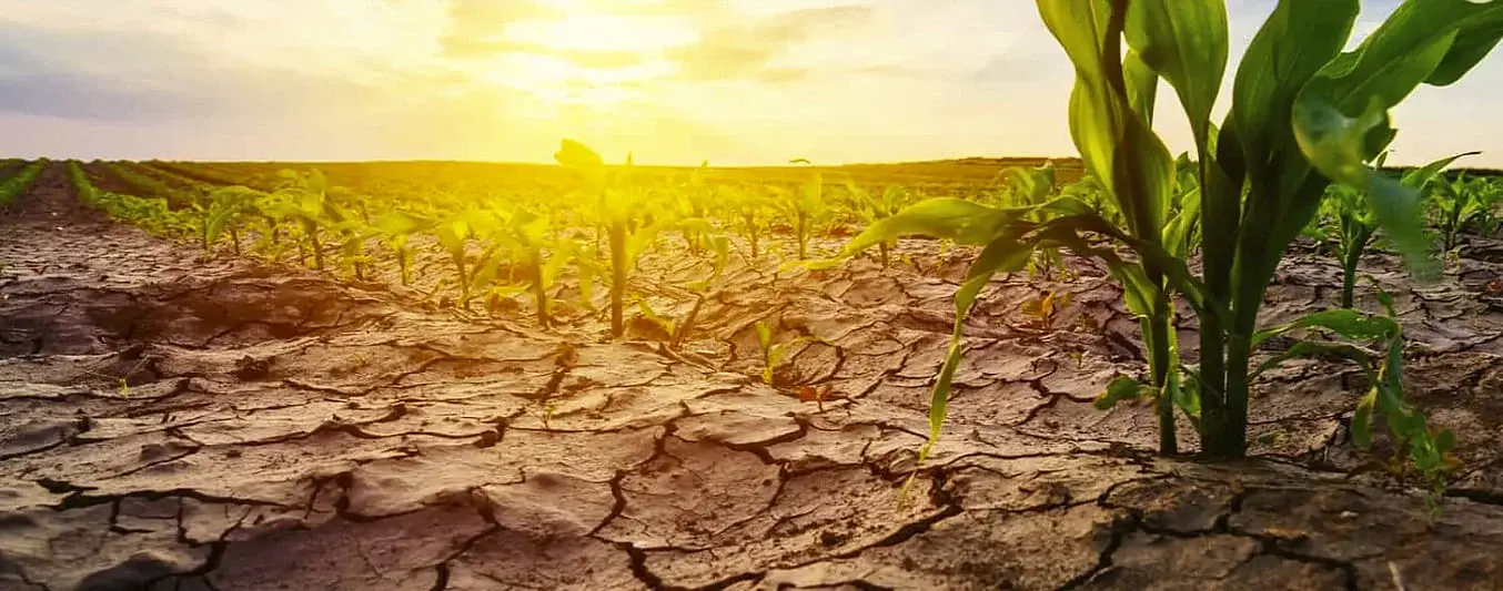 Cambio climático en las producciones agropecuarias