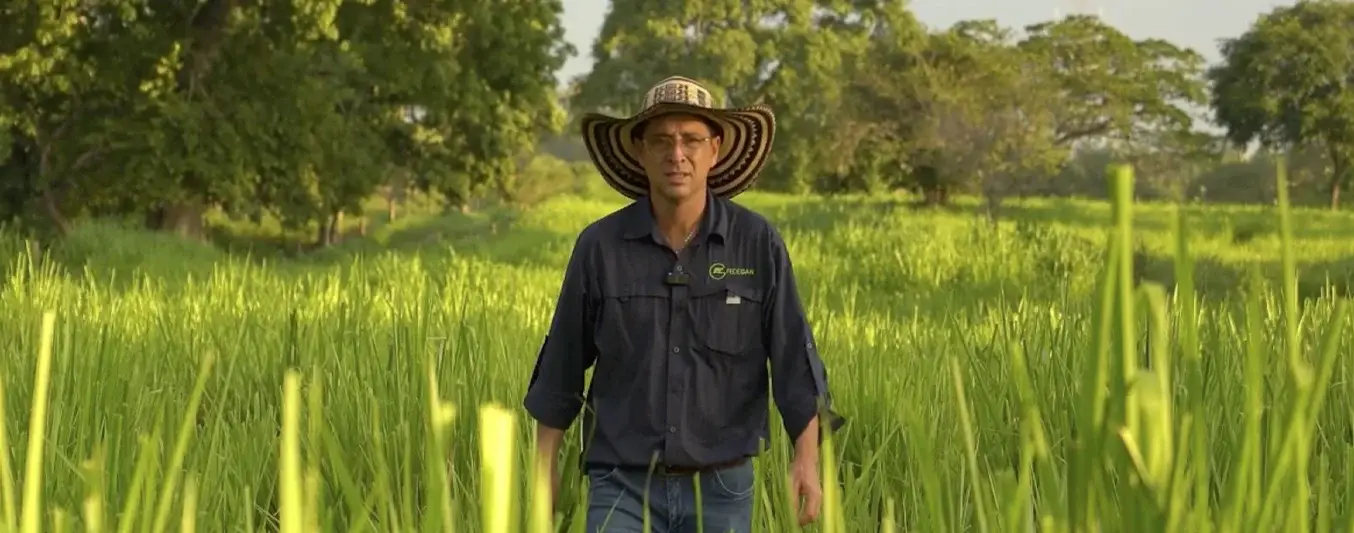 Pastoreo - Consultor Agropecuario