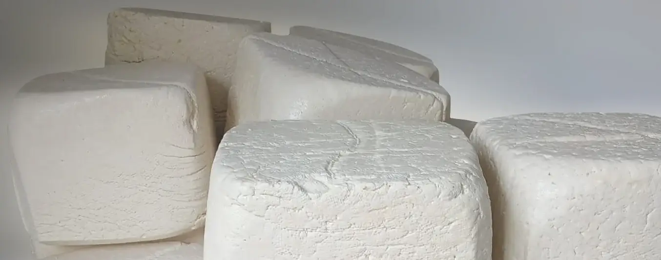 Queso de búfala
