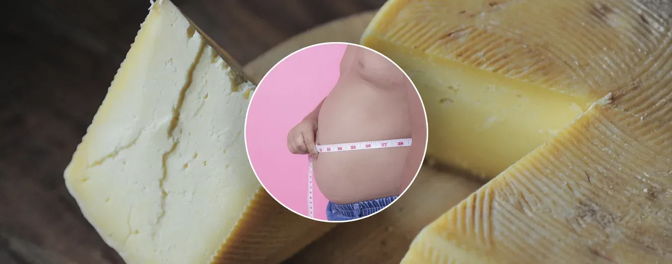 Estudio chileno sobre beneficios del queso de leche de vaca contra la obesidad gana premio en Francia