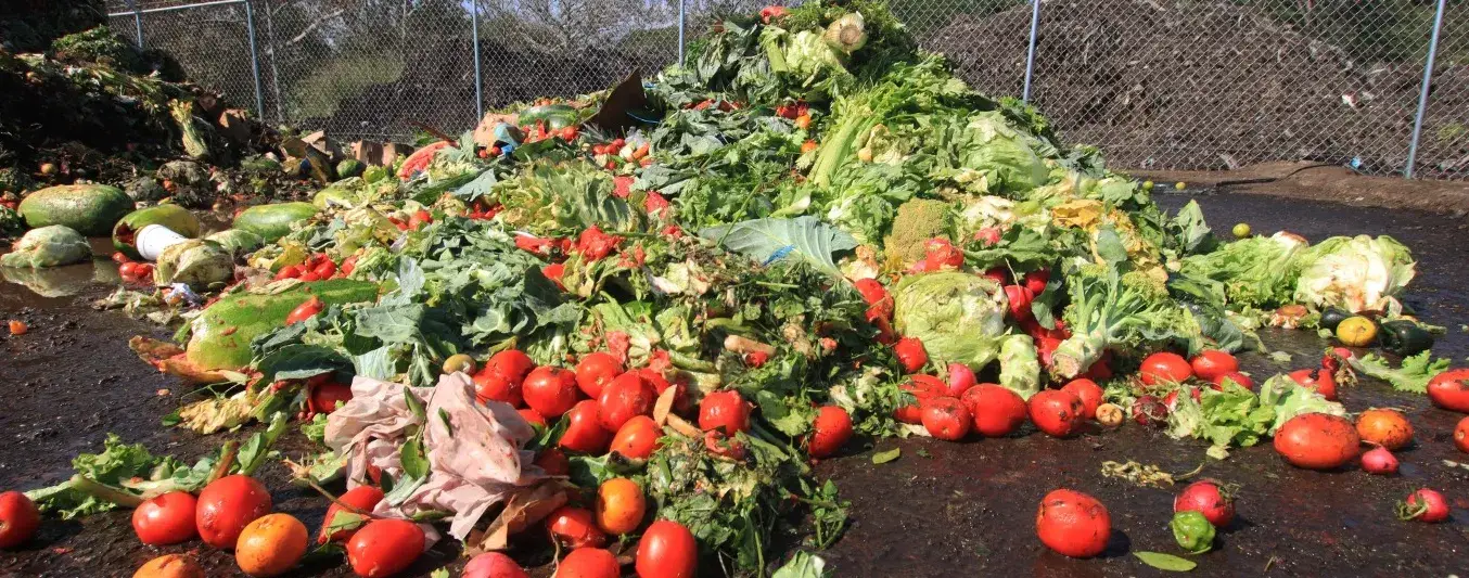 Como funciona la suplementación nutricional para animales a base de residuos agroindustriales