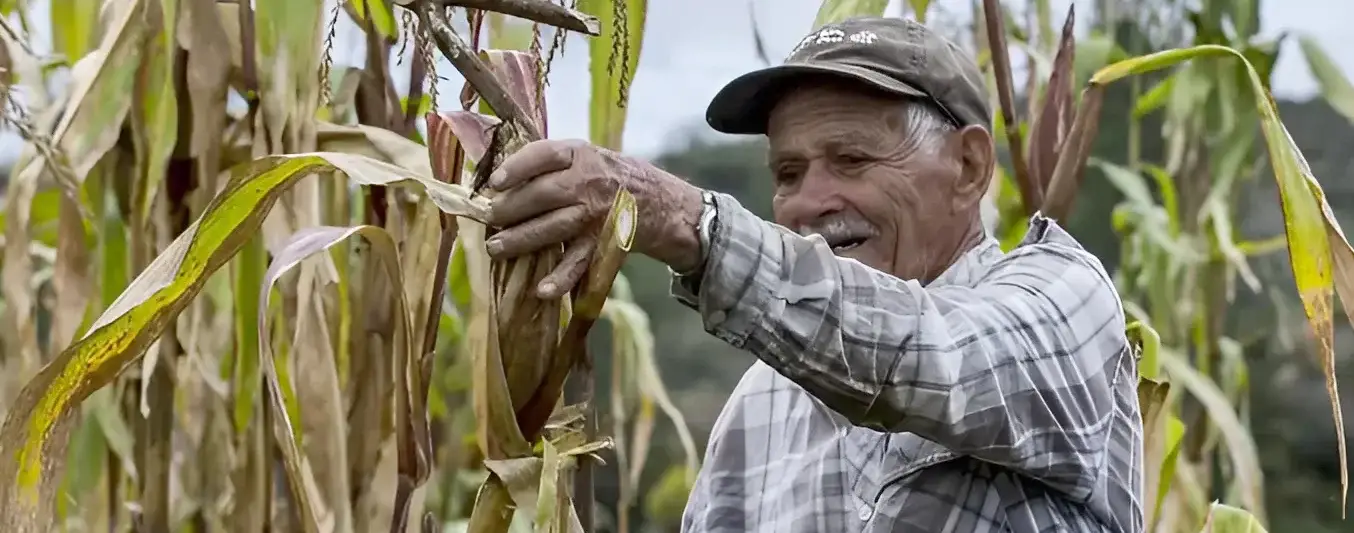 sector agropecuario emplea a la mayoría de los adultos mayores en Colombia