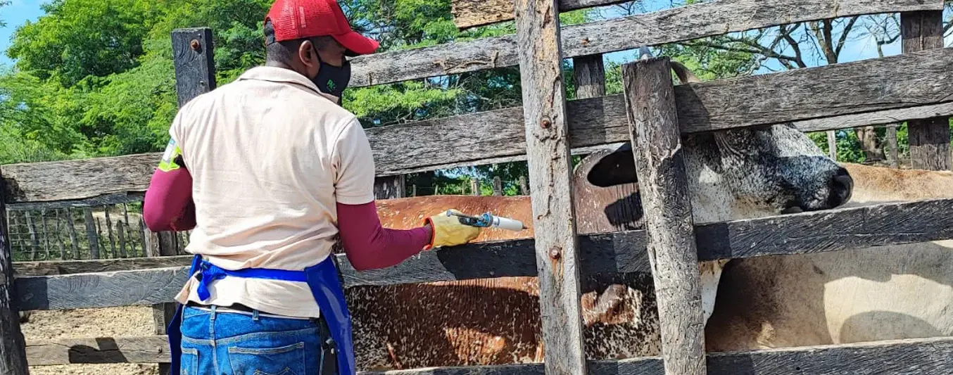 Ciclo de vacunación