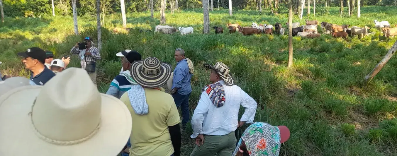Fedegán invita a los ganaderos a patrocinar a sus trabajadores en formación en ganaderia sostenible