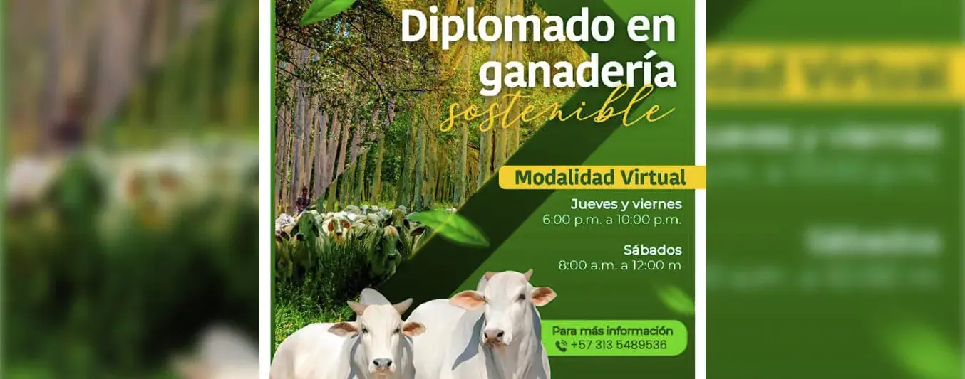 Diplomado ganadería sostenible