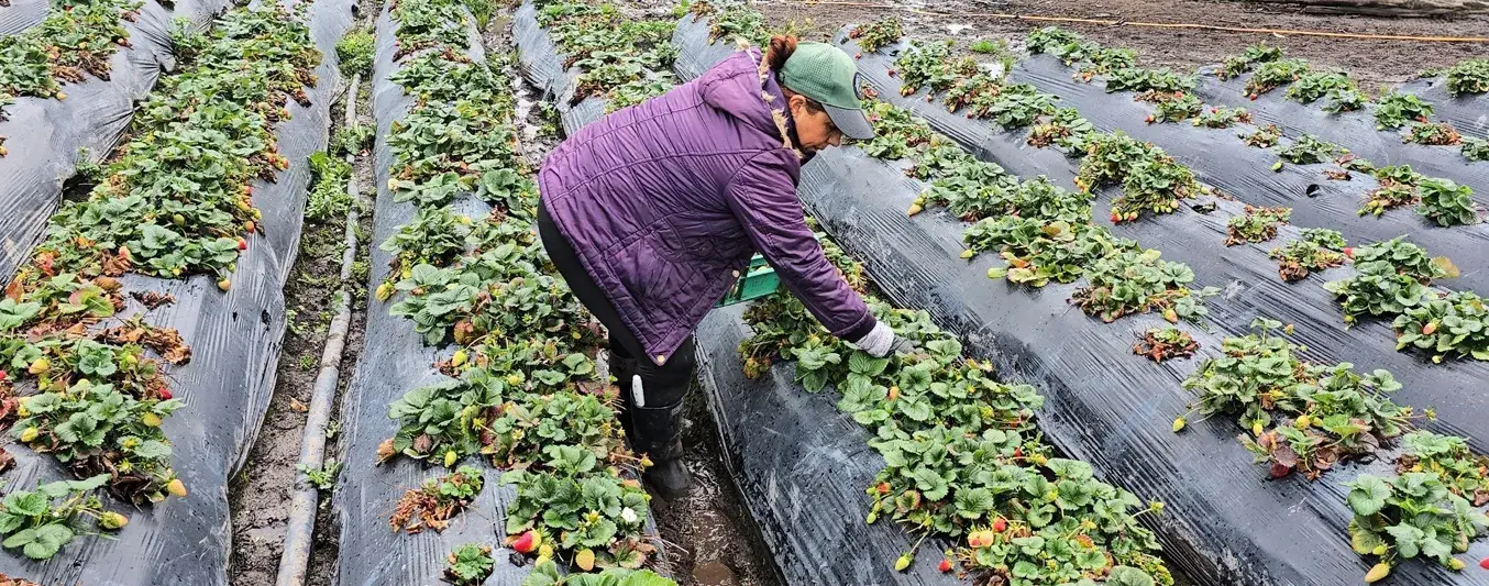 Mujeres rurales en Cundinamarca