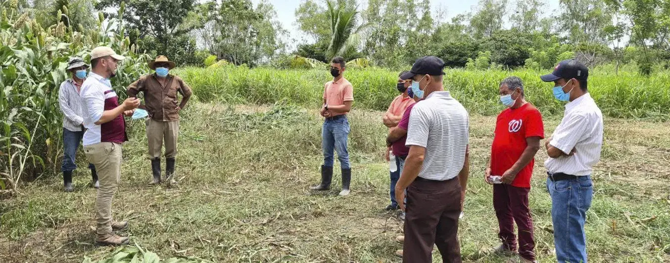 Claves del éxito en el trabajo en equipo en las fincas