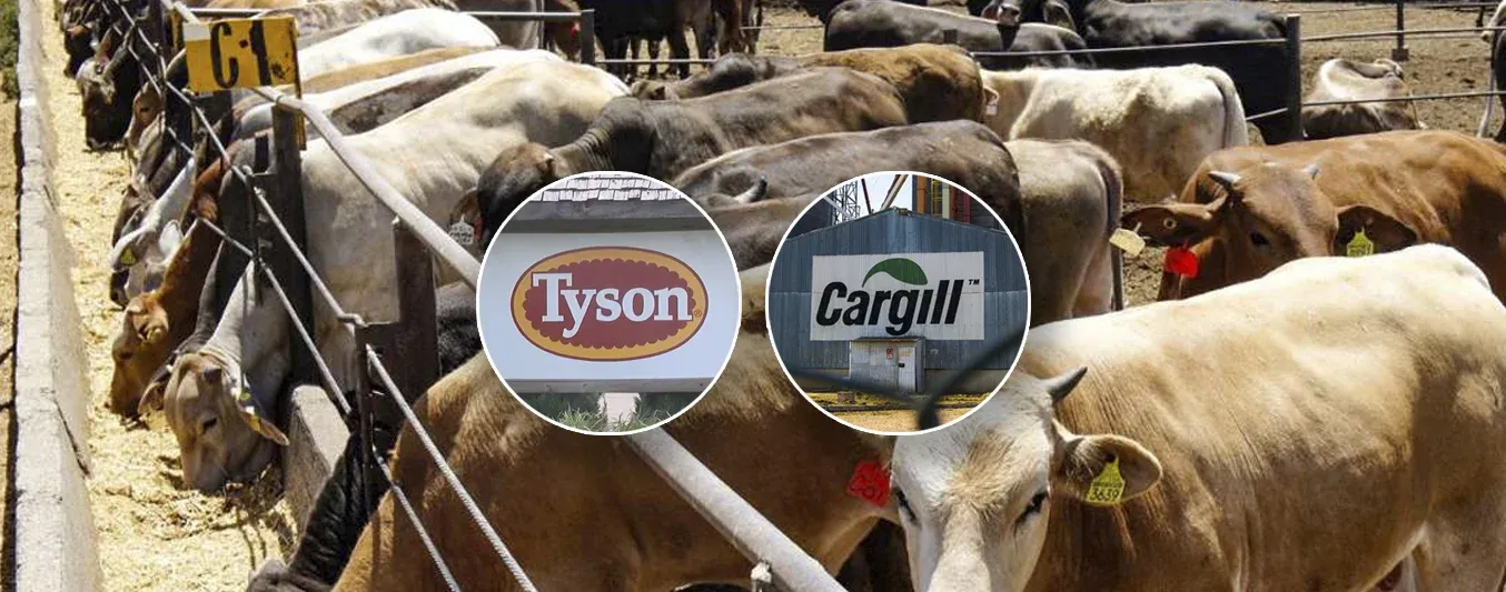 Tyson cerró planta en Nebraska E.E.U.U. - Cargill hará nuevas inversiones
