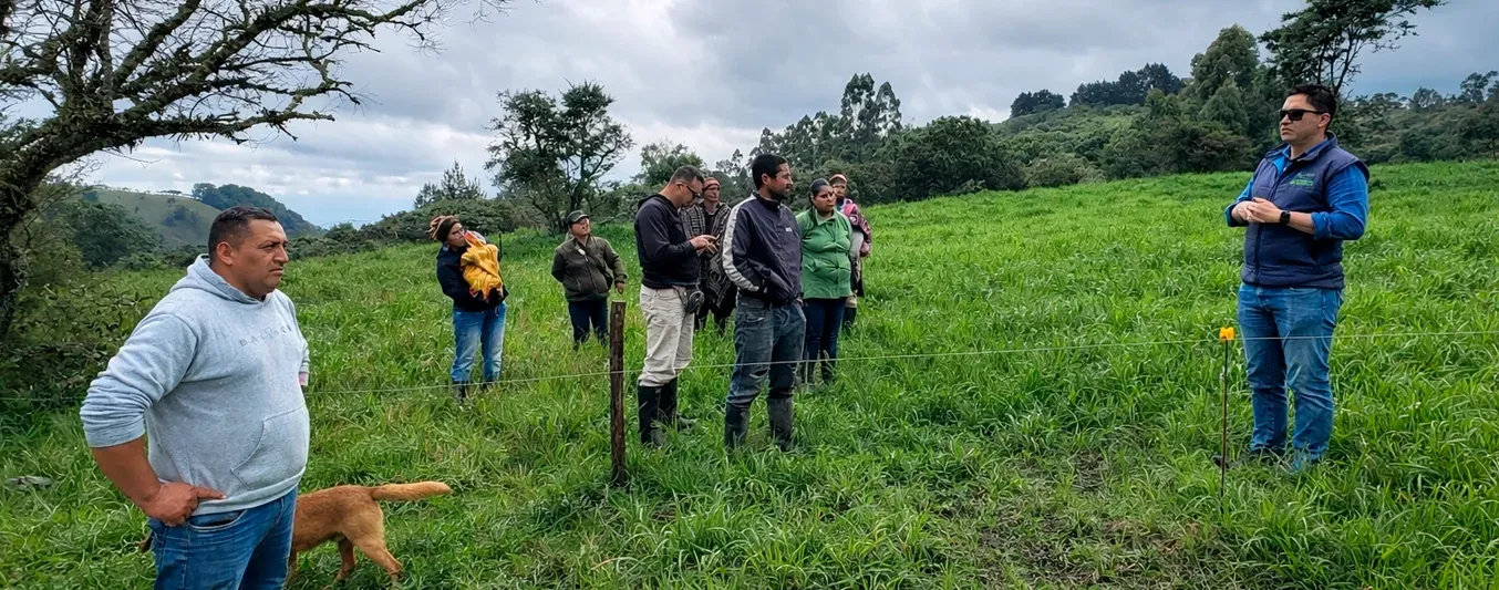 Asi avanzan los circulos de gestión ganadera sostenible