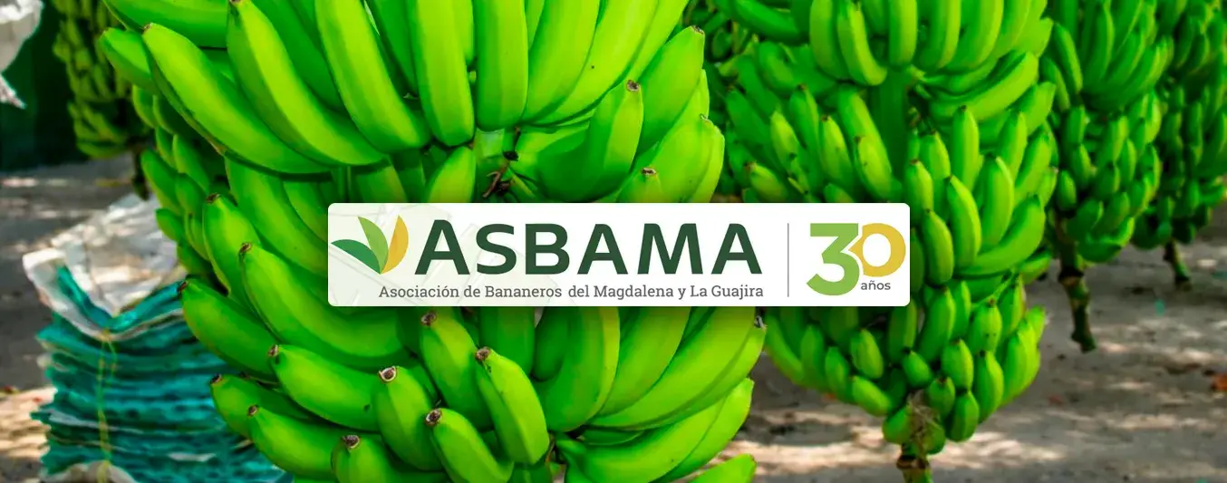 Asbama cumple 30 años de liderazgo gremial