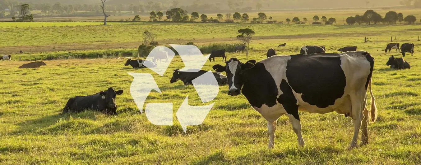 La ganadería es reciclaje, aporta más de lo que se piensa