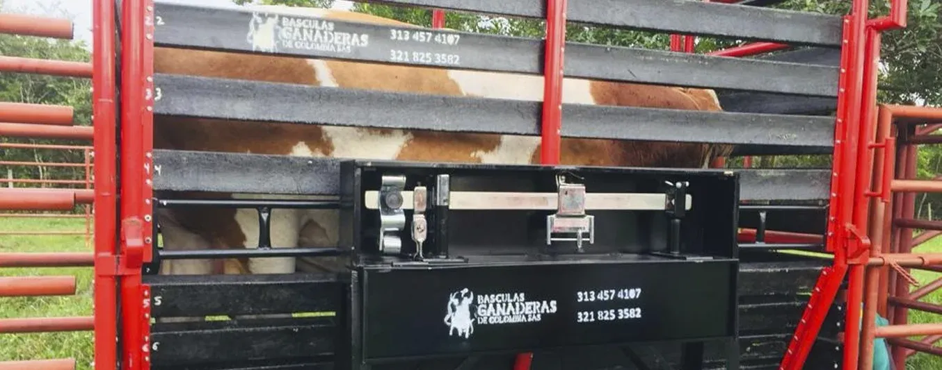 Invertir en una báscula para las fincas