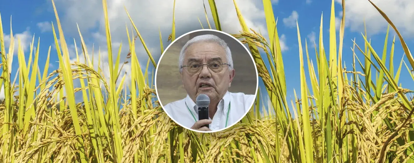 Gerente de Fedearroz Rafael Hernández Lozano