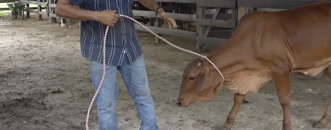 Consultor Agropecuario - La Doma