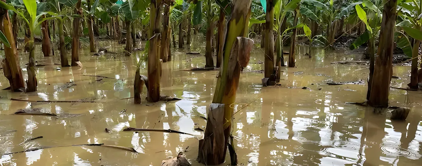 Antioquia en emergencia y mantienen en alerta a Medellín por lluvias