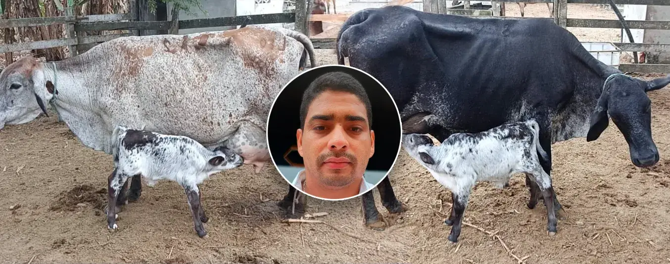 Producir leche en Ecuador: asi es la ganaderia que busca replicar a Colombia